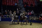 Quadrille - 00644
